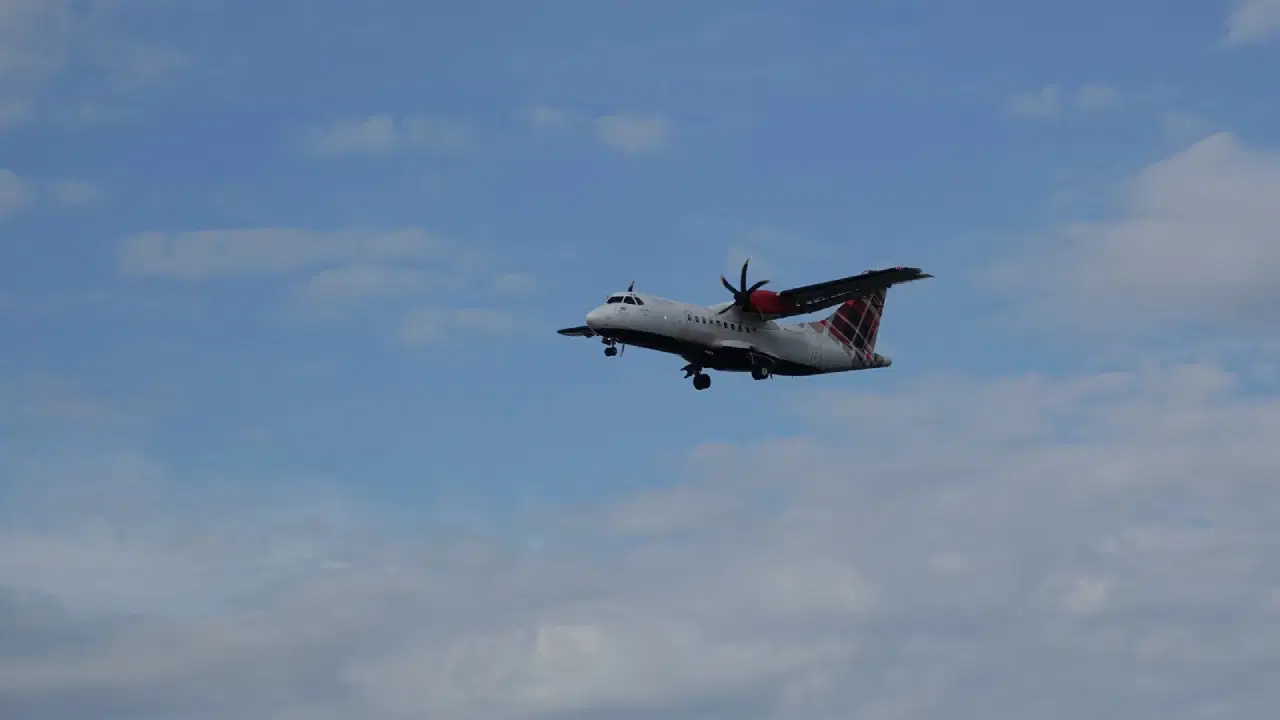 1383487B 0Ded 4C31 9463 75324Ff4F659.Jpg