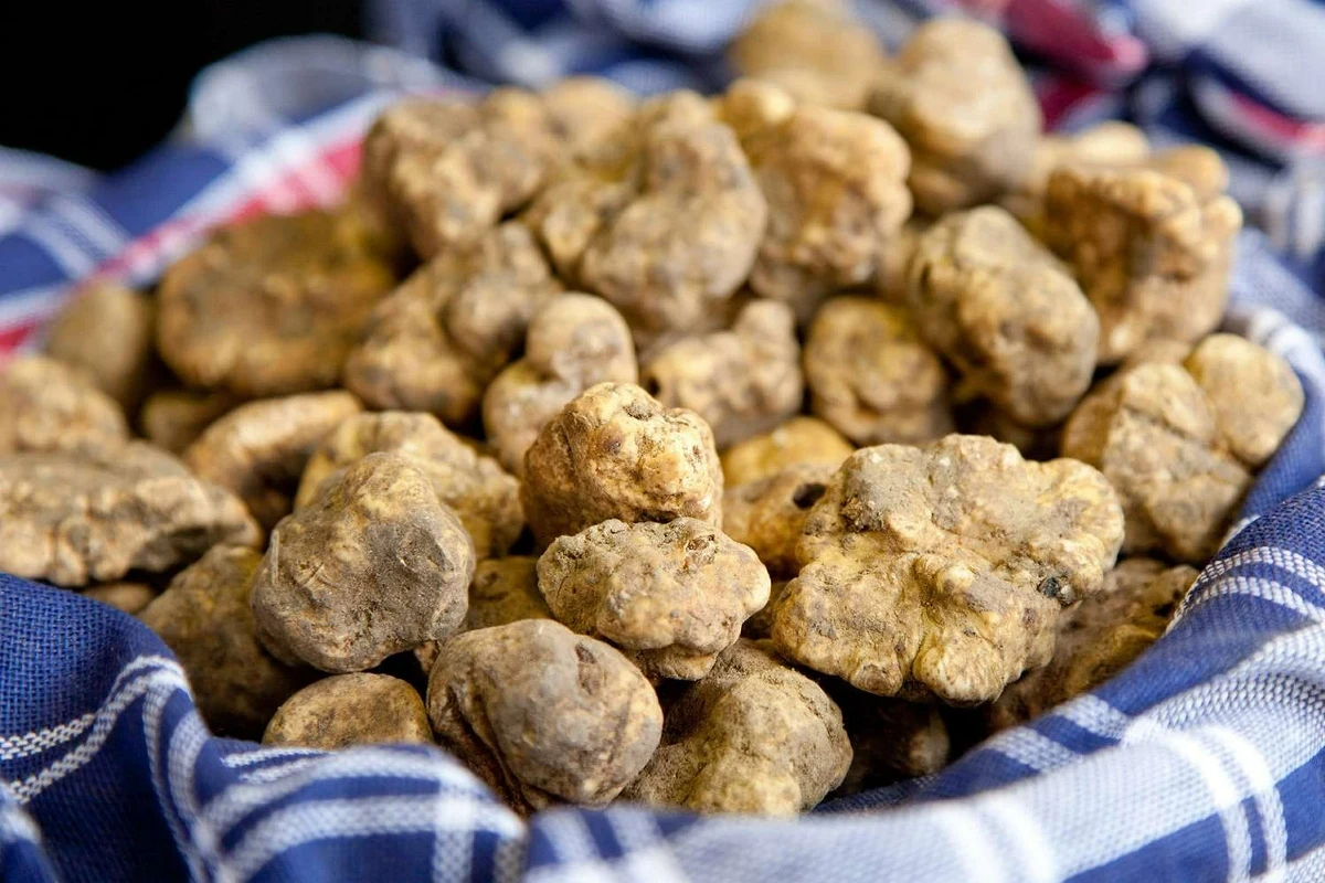 2Cb5Cb94 Mtd2Y42Ltaojugah4V0C3N