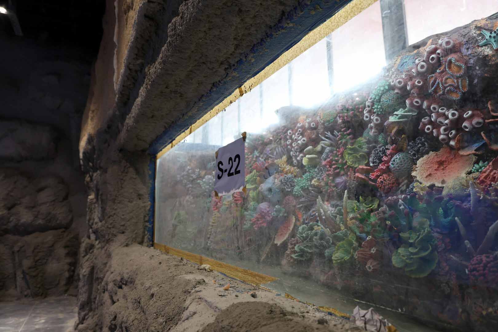 30 Farklı Akvaryum Eşsiz Bir Gezi Yaşatacak (1) (Large)