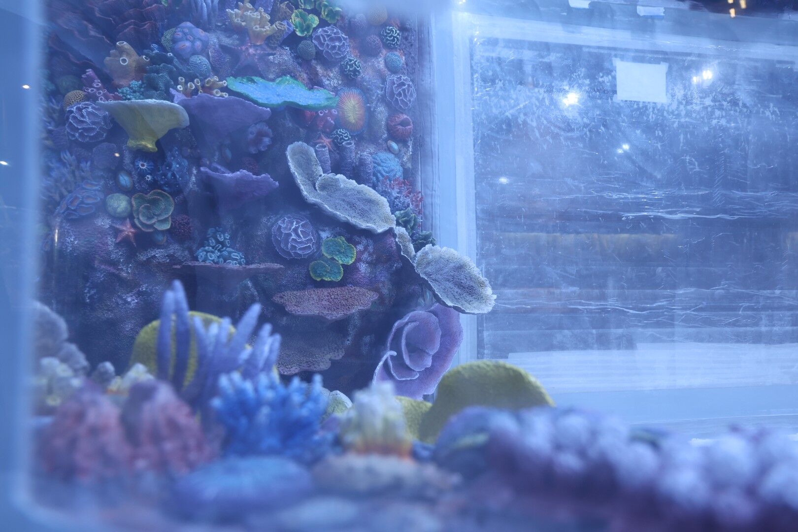 30 Farklı Akvaryum Eşsiz Bir Gezi Yaşatacak (11) (Large)