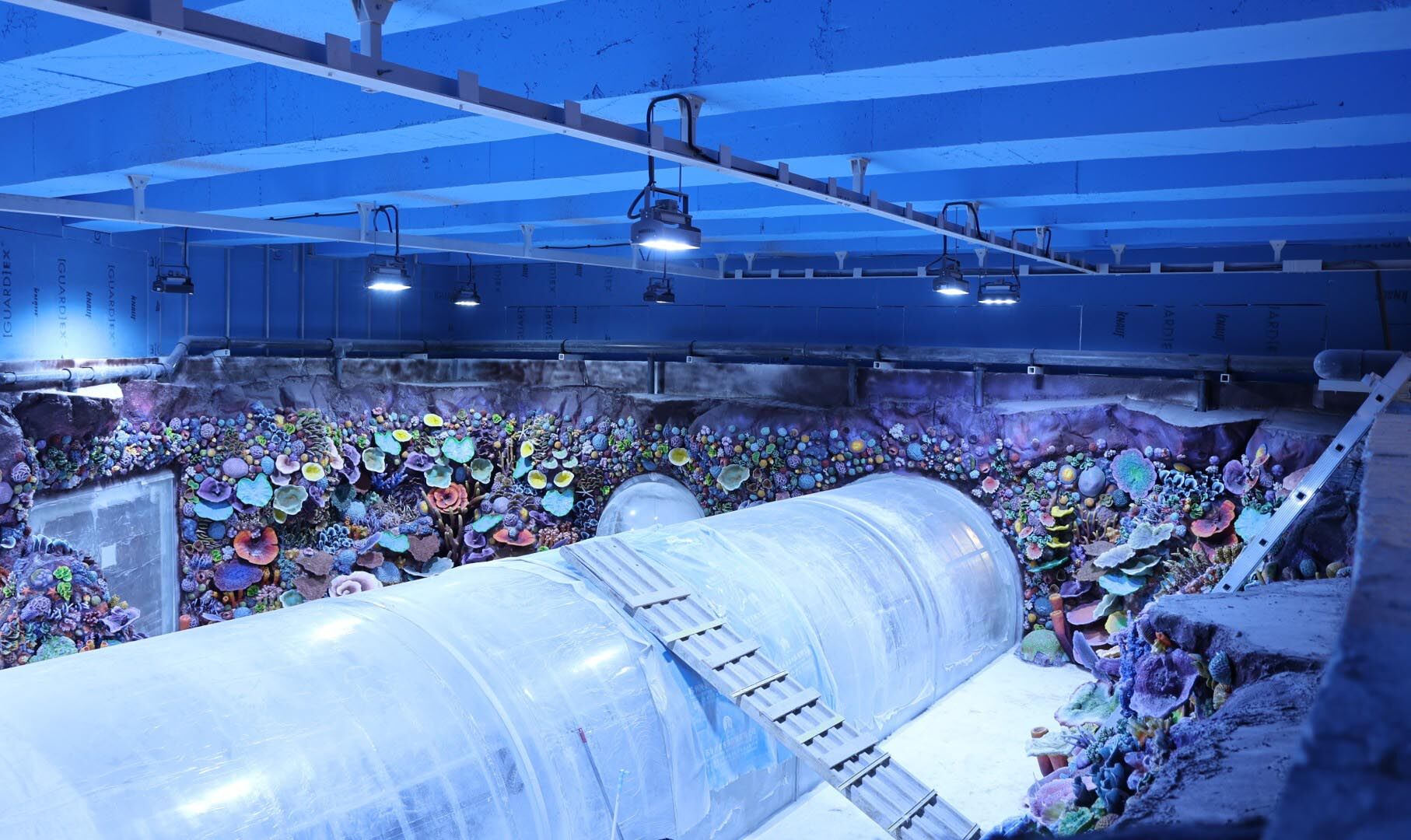 30 Farklı Akvaryum Eşsiz Bir Gezi Yaşatacak (12) (Large)