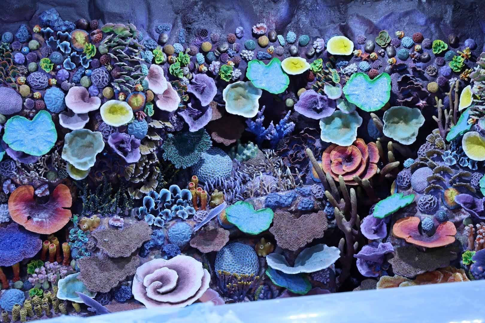 30 Farklı Akvaryum Eşsiz Bir Gezi Yaşatacak (14) (Large)