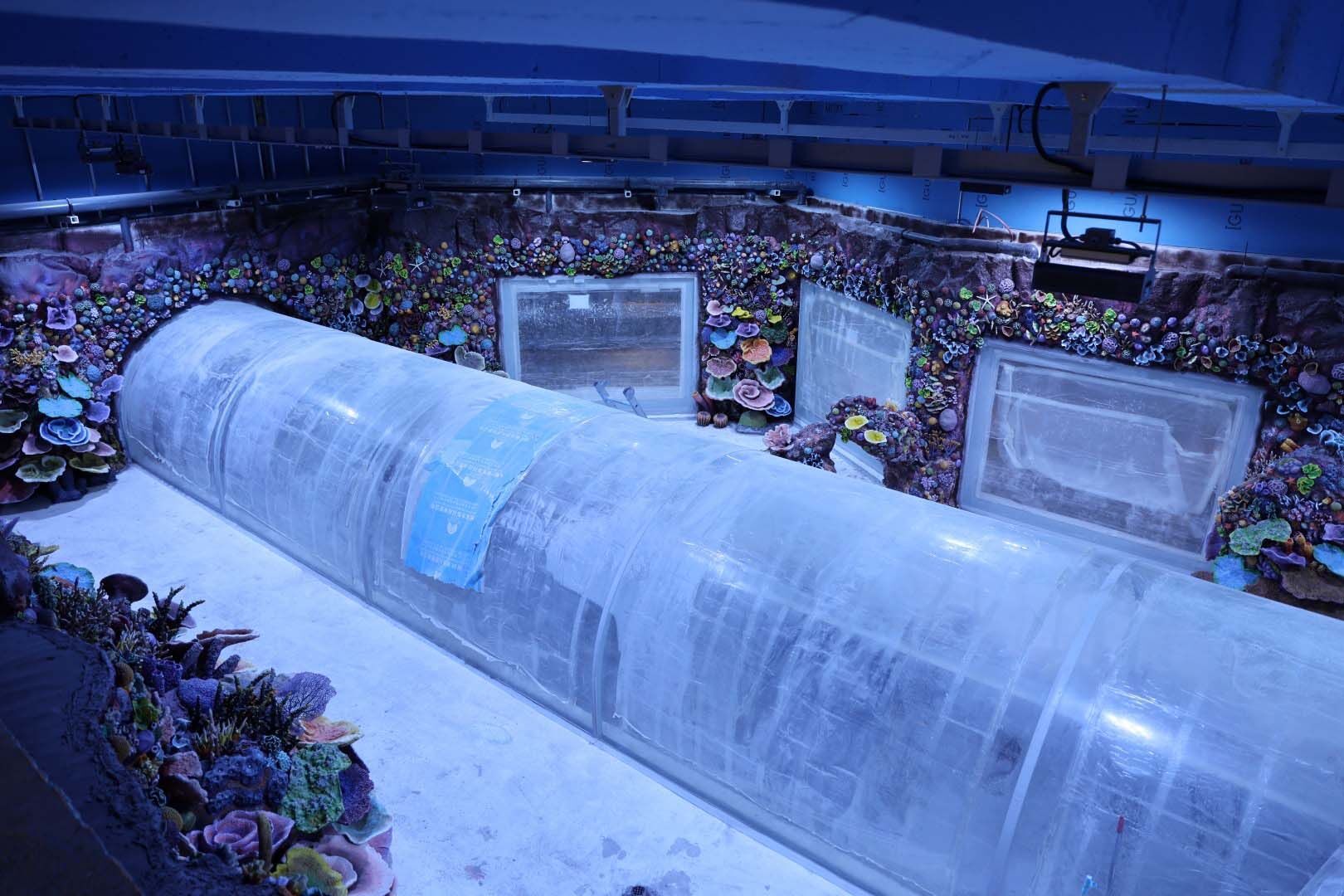 30 Farklı Akvaryum Eşsiz Bir Gezi Yaşatacak (15) (Large)