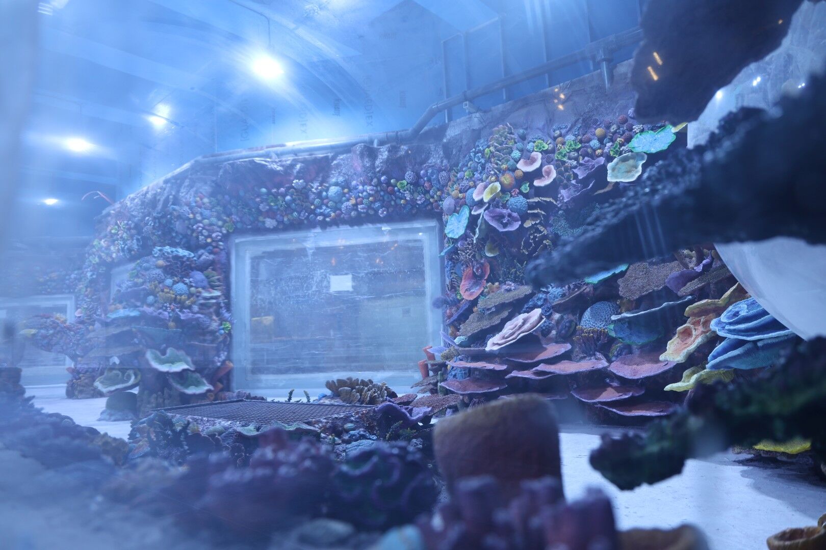 30 Farklı Akvaryum Eşsiz Bir Gezi Yaşatacak (3) (Large)