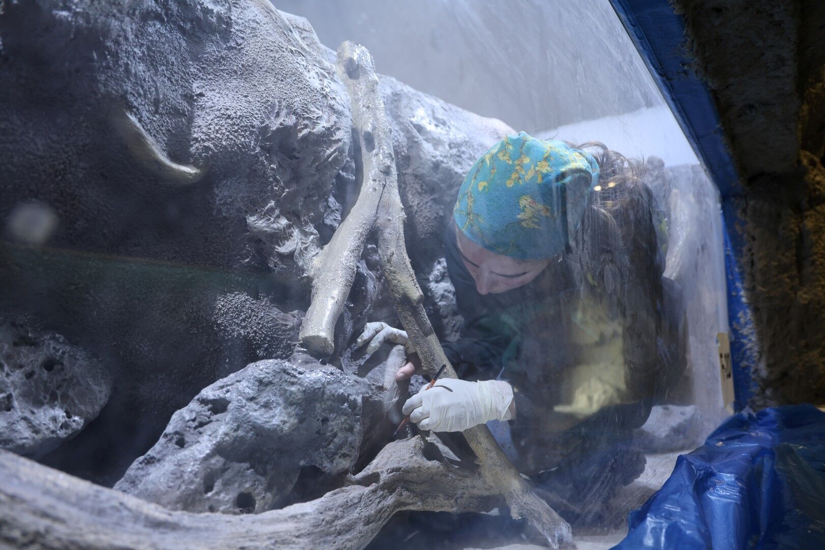 30 Farklı Akvaryum Eşsiz Bir Gezi Yaşatacak (7) (Large)