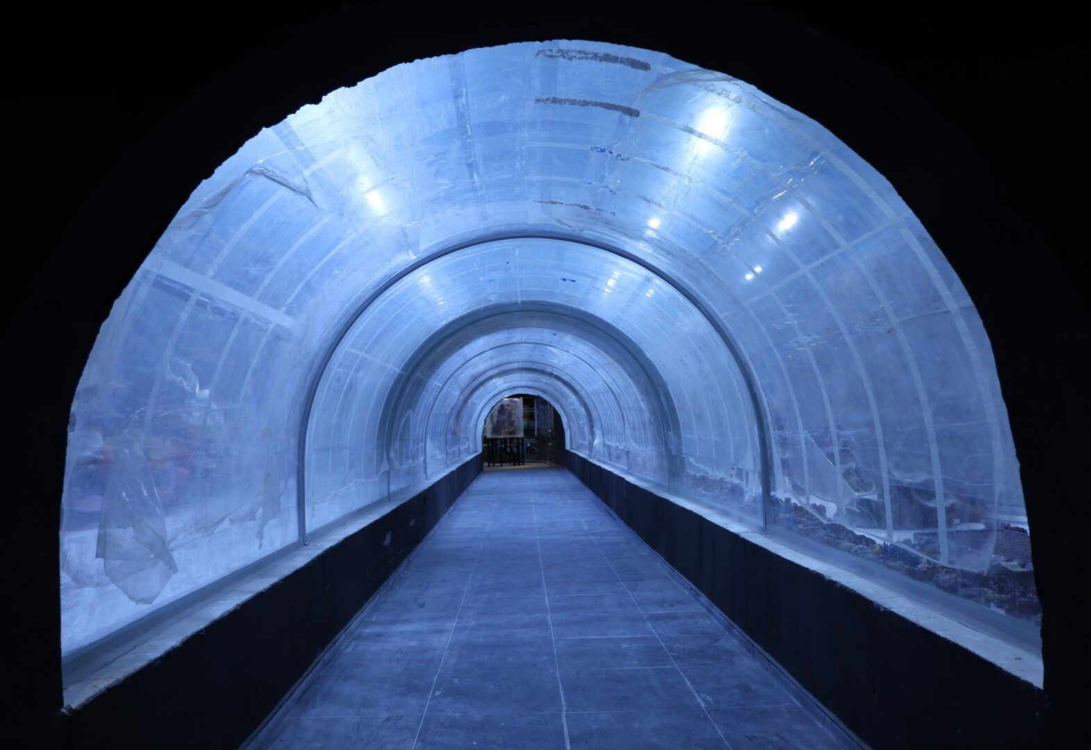 30 Farklı Akvaryum Eşsiz Bir Gezi Yaşatacak (9) (Large)