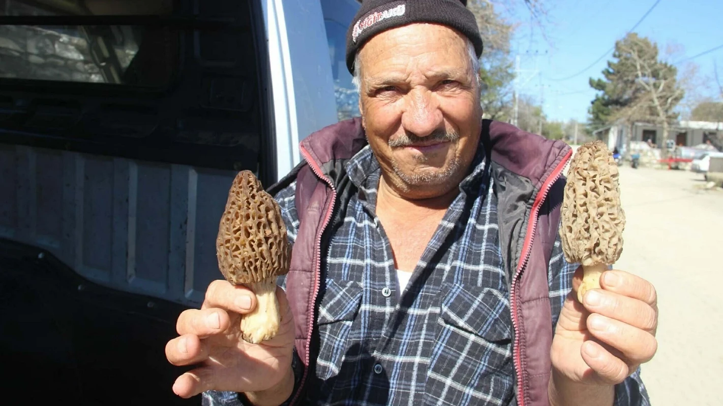 49219699 Lr7Occ3Gzx0I1Zb9K5Cyl