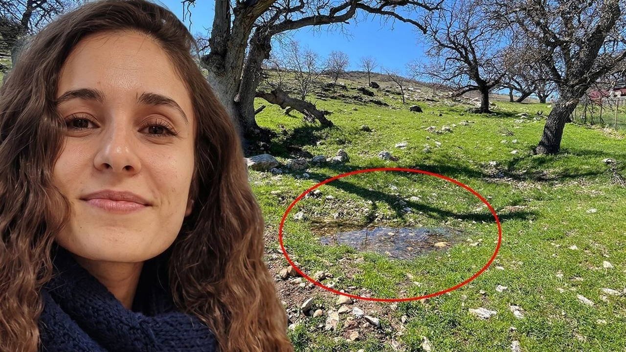 496Cd5Db Dfee 4488 92E6 8316005A3Bfb