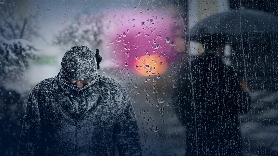 4Bcd717F 3K4Vzp8T8Lbxnjk9V1Vesn