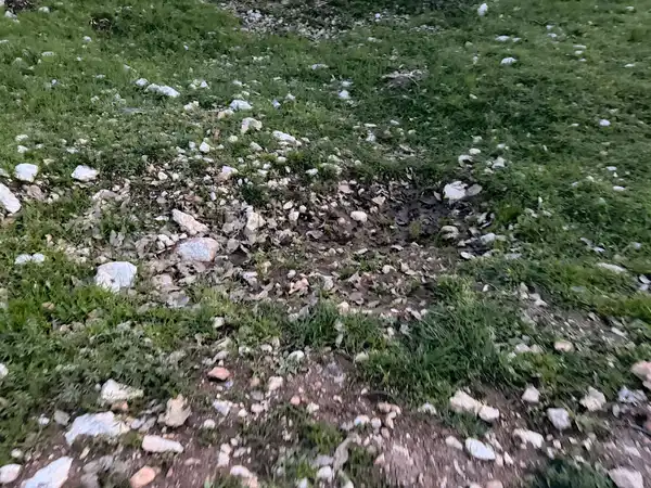 5D8B917E 58Bd 4830 Aa03 93C702544316