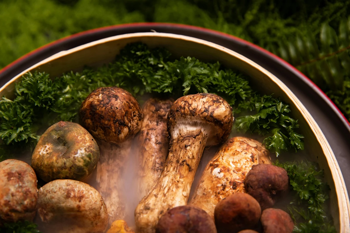 63B31834 So7Fv4Tz8T8Y8J1Sb1Ym7