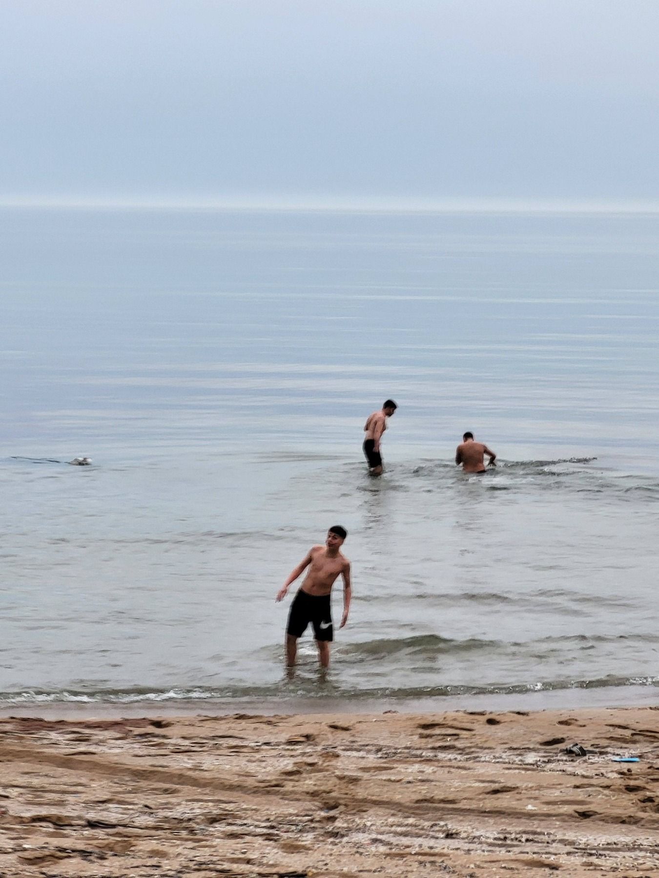 658927517 4482381705418261 1051476312239907192 Ng 1775292879