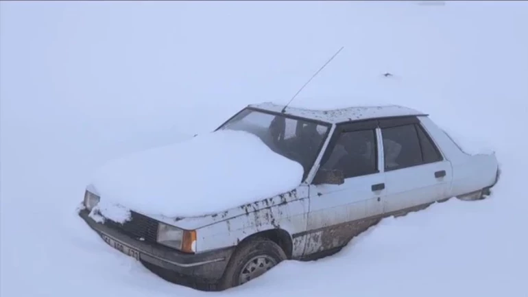 69Dc8E397370607E7Db36D87