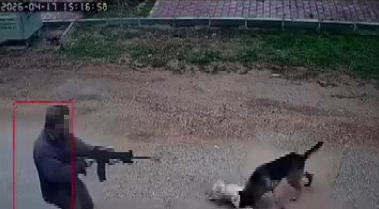 Aw686670 01 1776594616