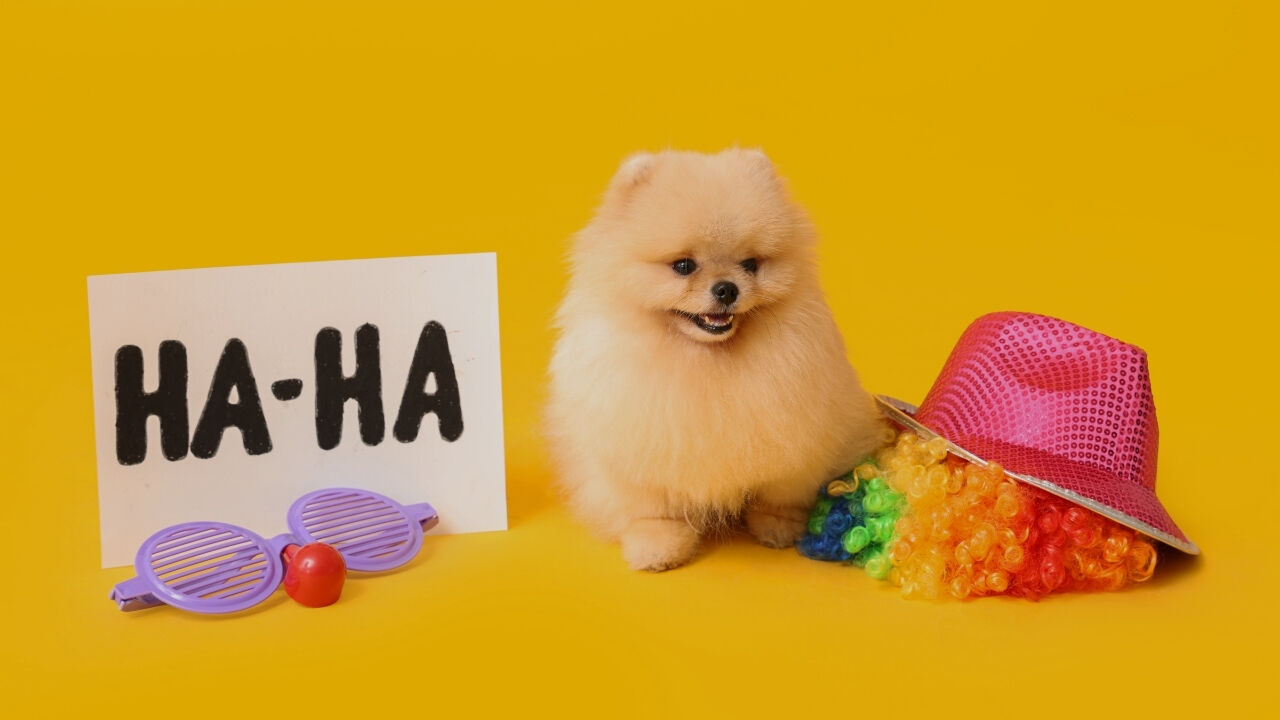 Buz Gibi Soguk Espriler 2026