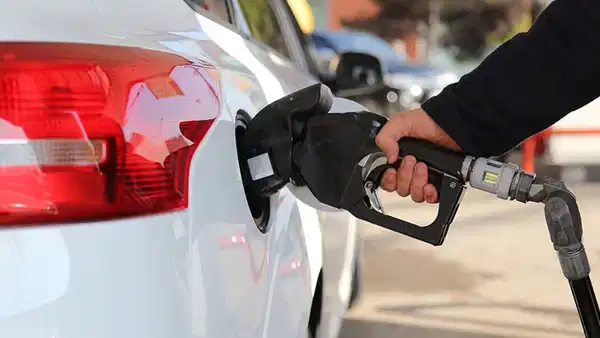 C3F6B73A 5D7D 4C30 91Bd 9E0E71552284.Jpg