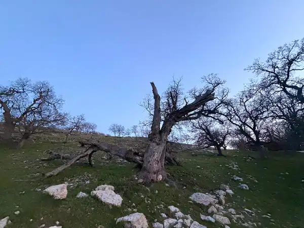 E7C1Dbf6 23E3 4B9E B191 6B5F470669C1