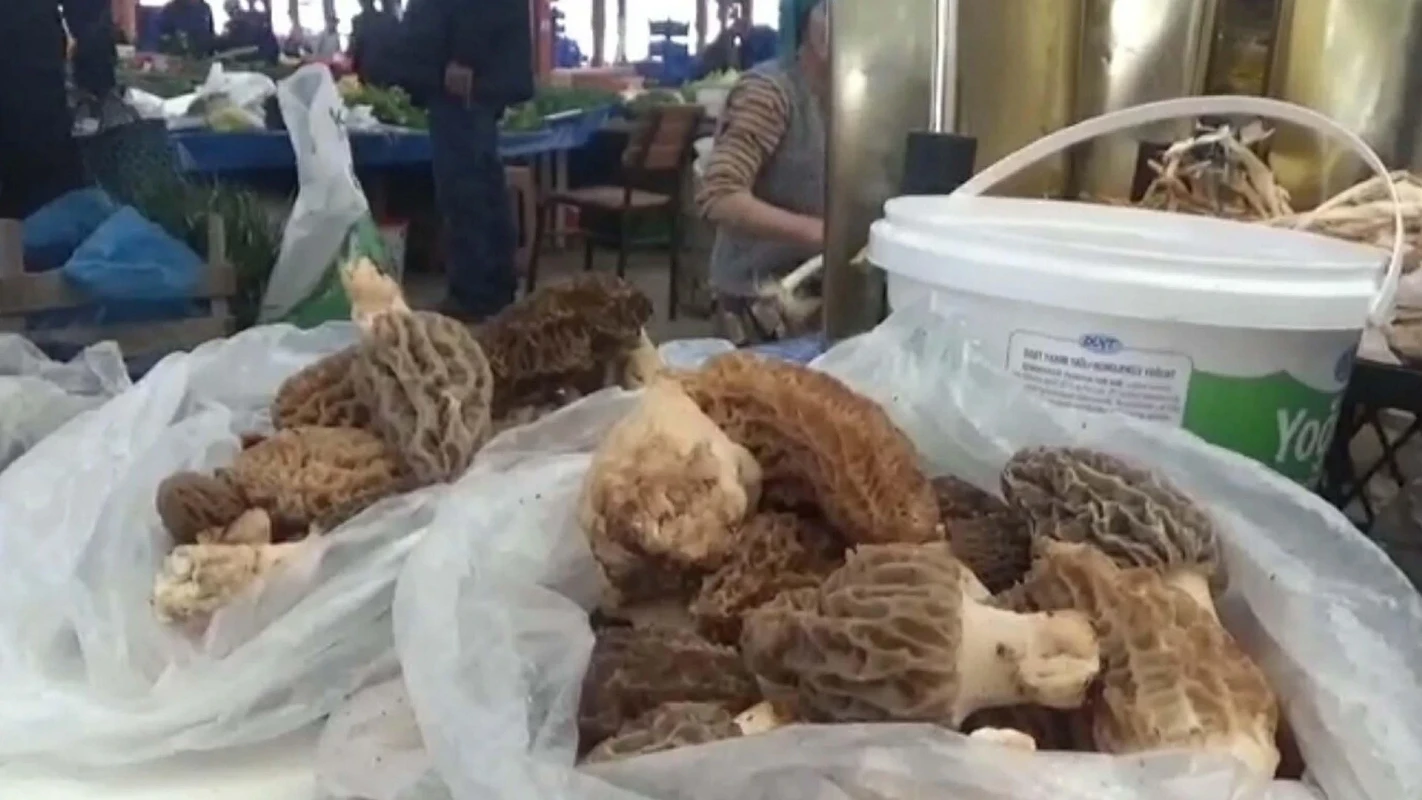 E8C99138 Nd0Te32N4Icdka018Banbj