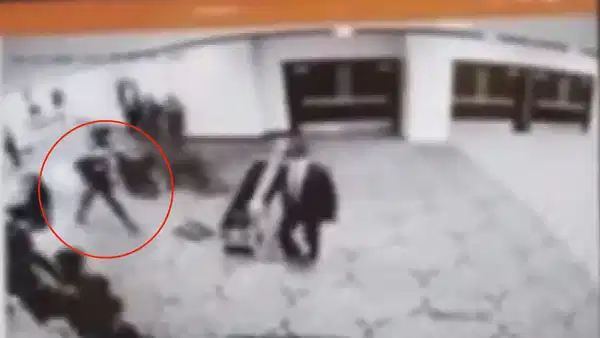 F9675B20 Faa5 455D 8Df3 457501429035