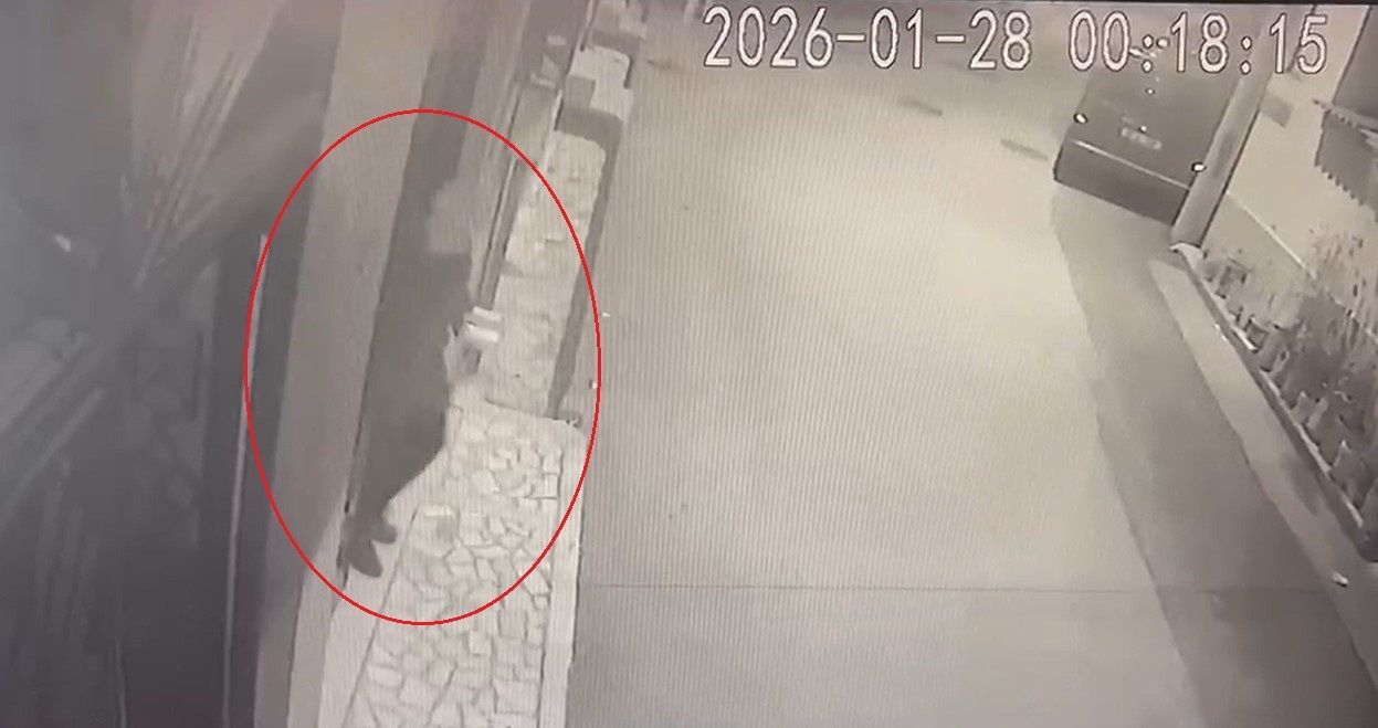 Kayip Ihbarinda Bulundugu 75 Yasindaki 1247921 371250