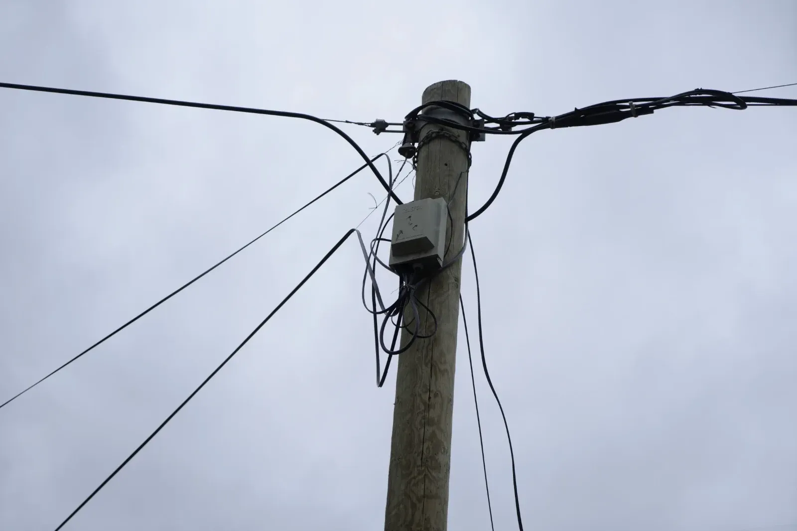 Kocaeliden Gumushaneye Gitmisti Kopruyu Onarmak Isterken Feci Sekilde Can Verdi Wwwcagdaskocaelicom 3