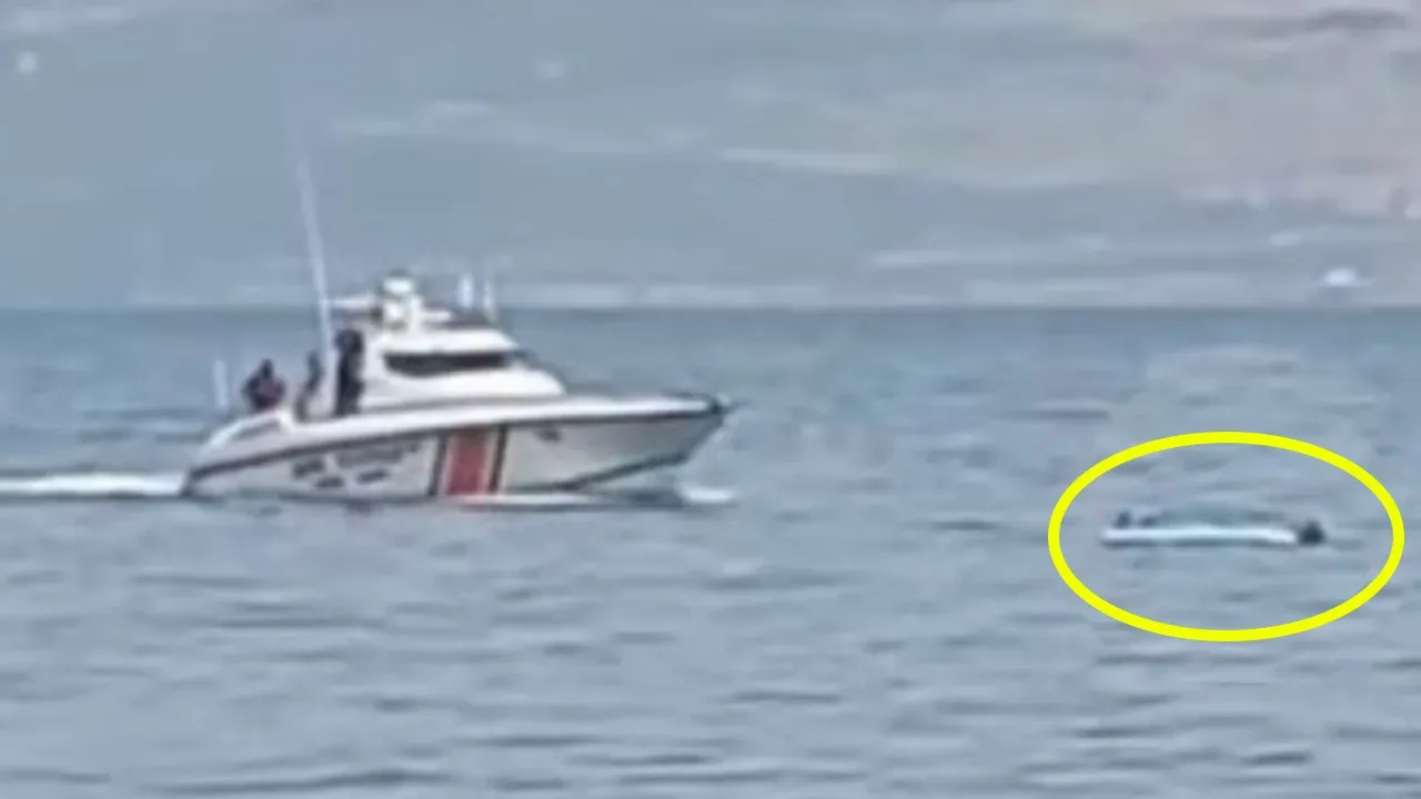 Kocaelidengekaramurselbogulma