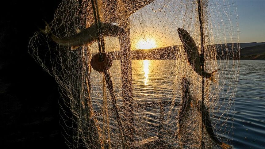 Thumbs B C Ddb91Ca35Ee0C2B32502149B0C01Af4F