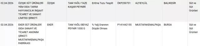 Turkiyenin En Unlu Peynir Mark 19711485 7232 1 M