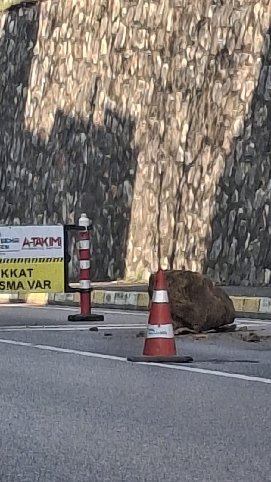 Whatsapp Image 2026 04 01 At 09.59.42