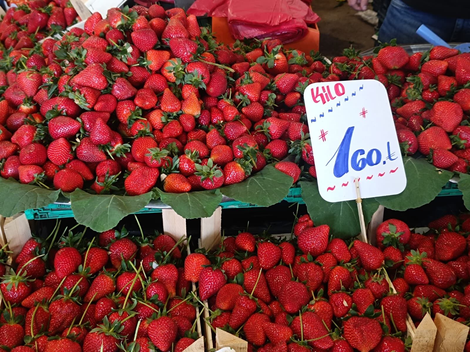 Whatsapp Image 2026 04 02 At 10.37.04 (1)