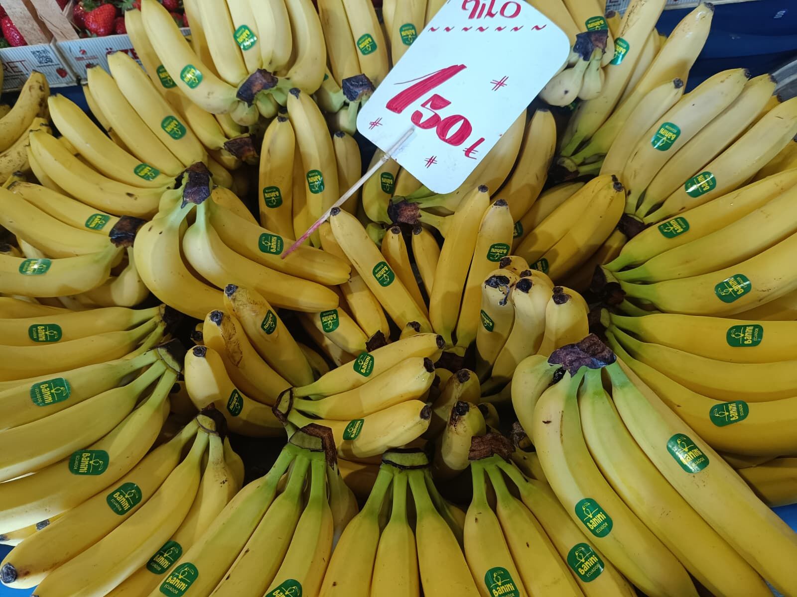 Whatsapp Image 2026 04 02 At 10.37.05