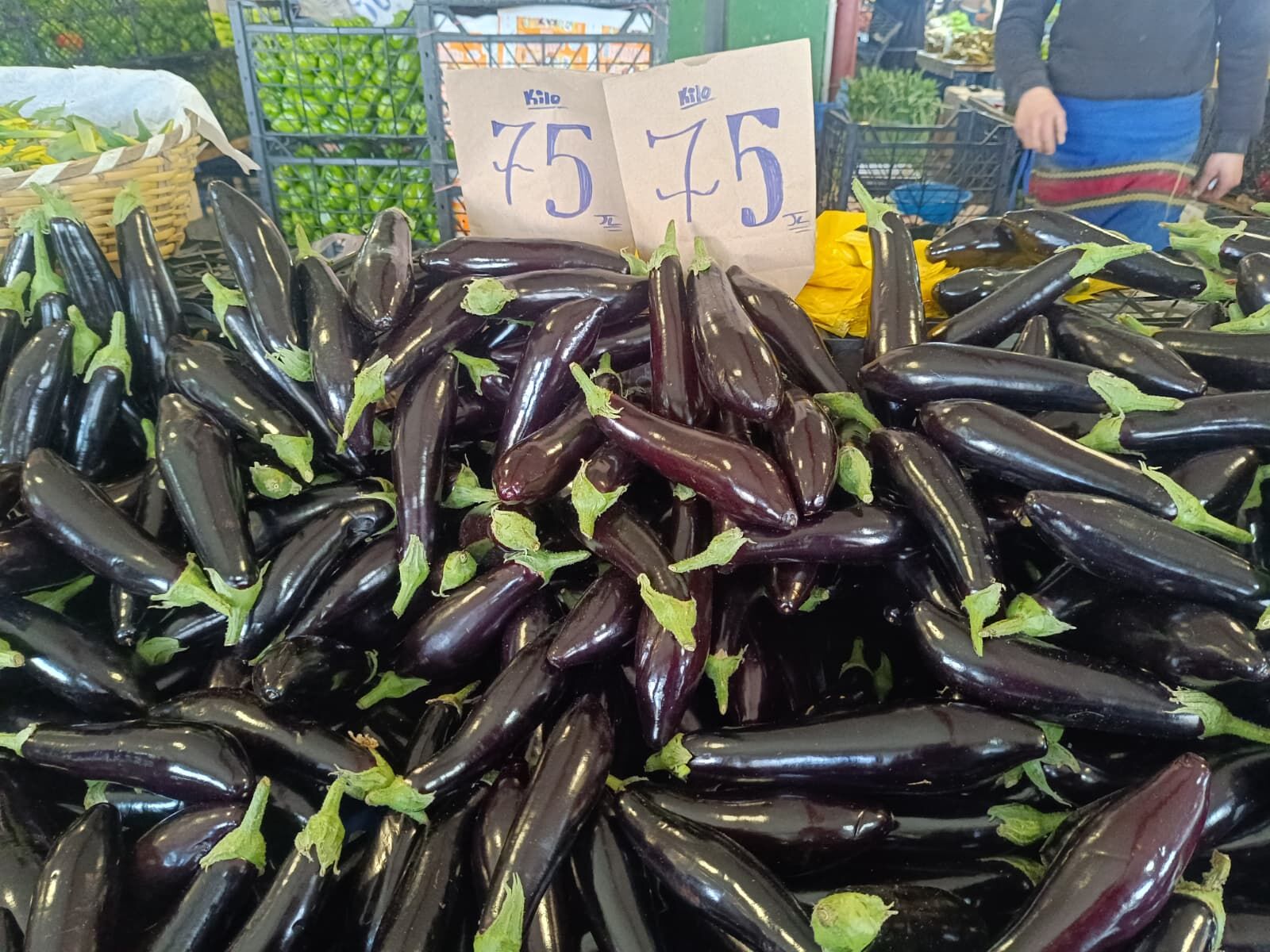 Whatsapp Image 2026 04 02 At 10.37.06