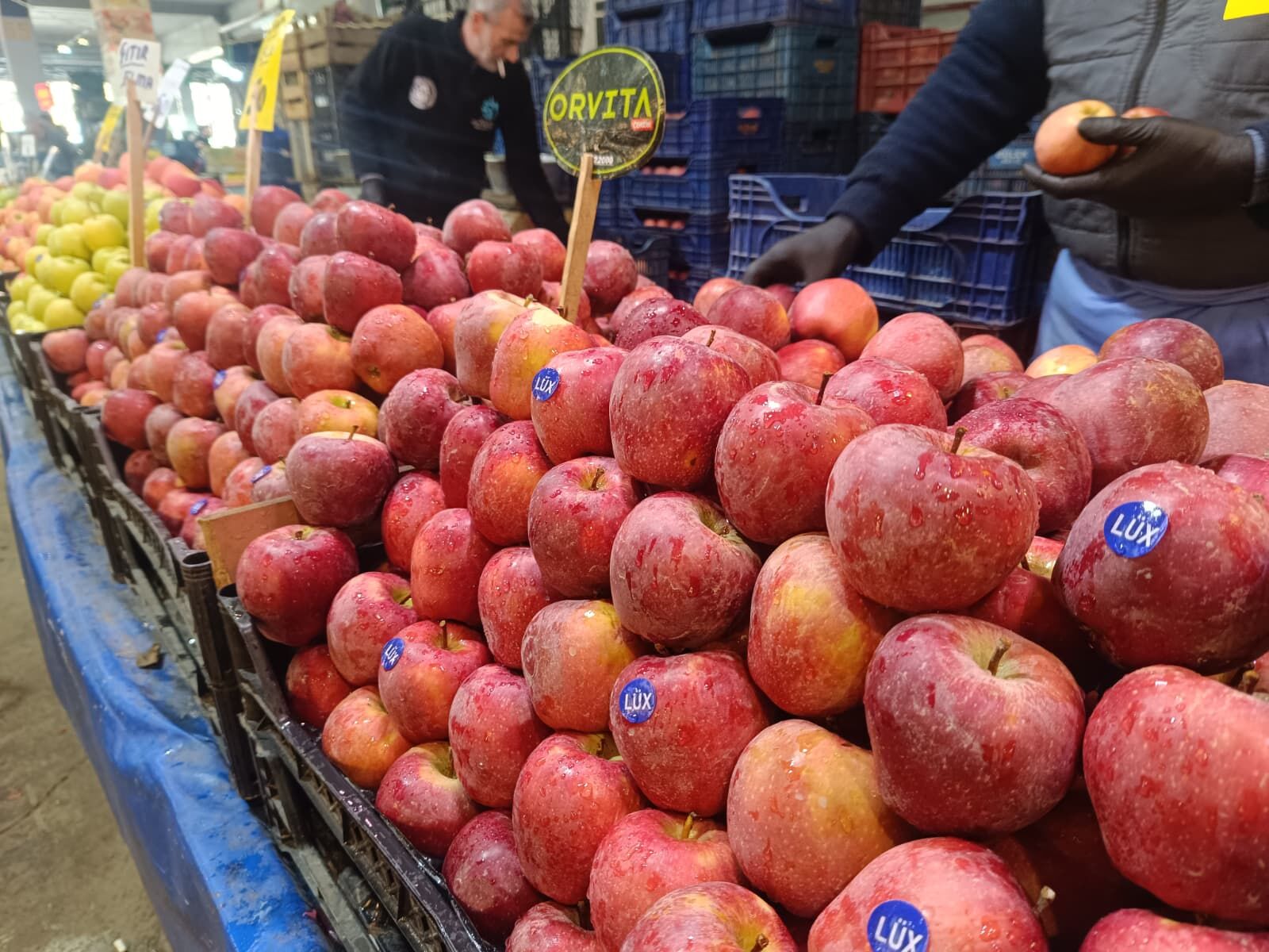 Whatsapp Image 2026 04 02 At 10.37.08