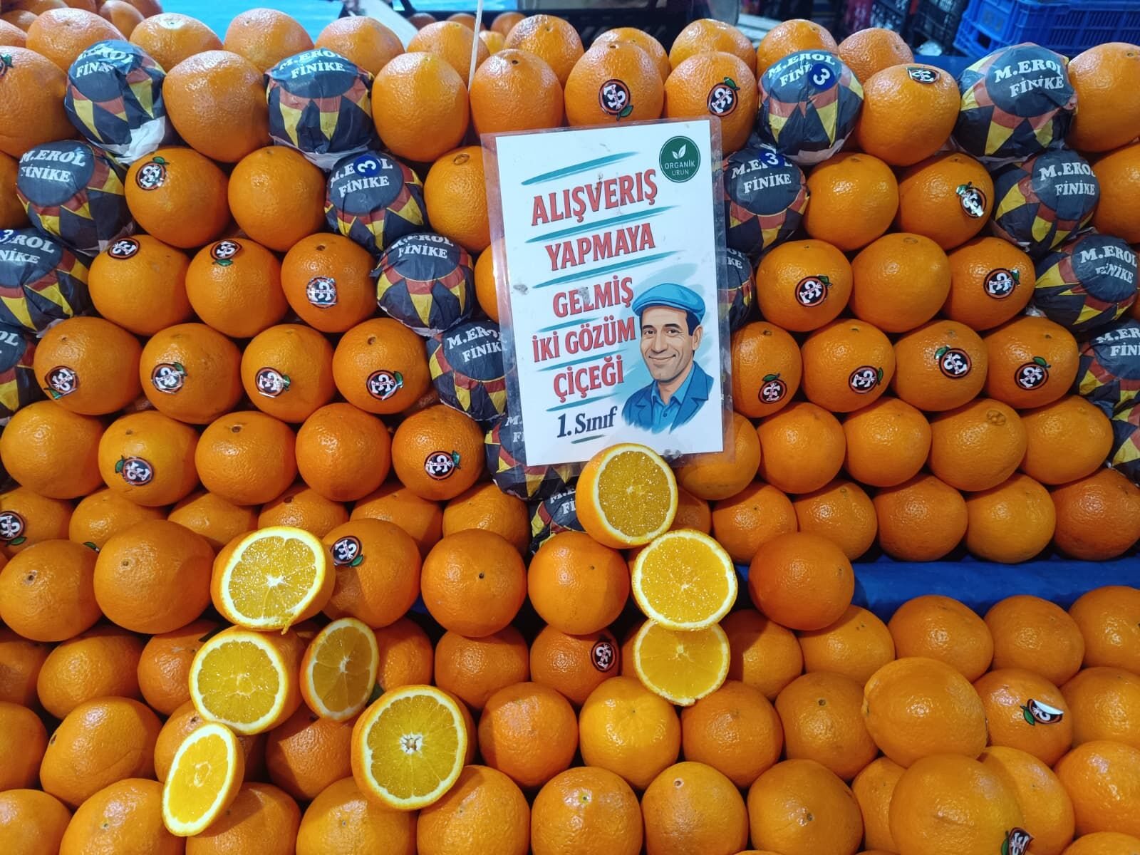 Whatsapp Image 2026 04 02 At 10.37.20