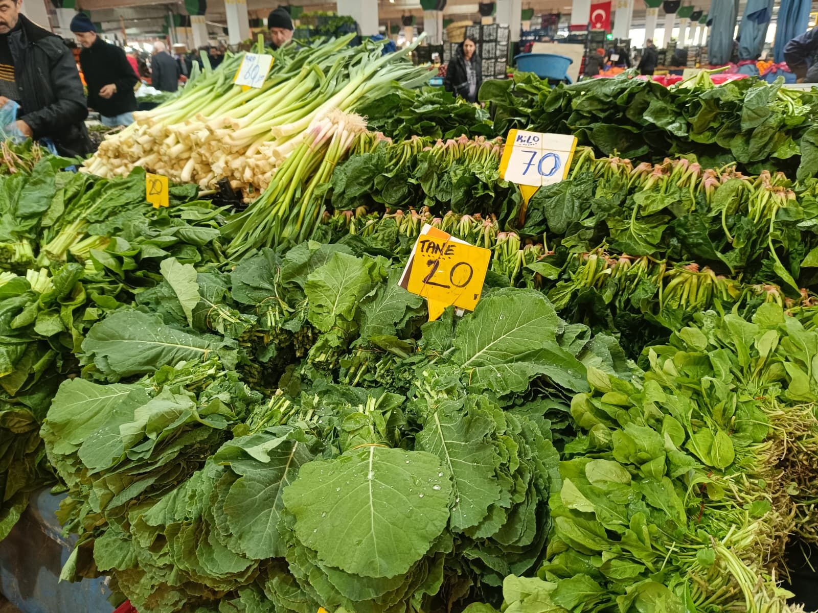 Whatsapp Image 2026 04 02 At 10.37.21 (1)