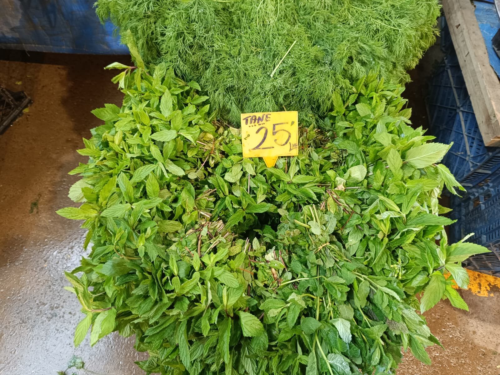 Whatsapp Image 2026 04 02 At 10.37.22