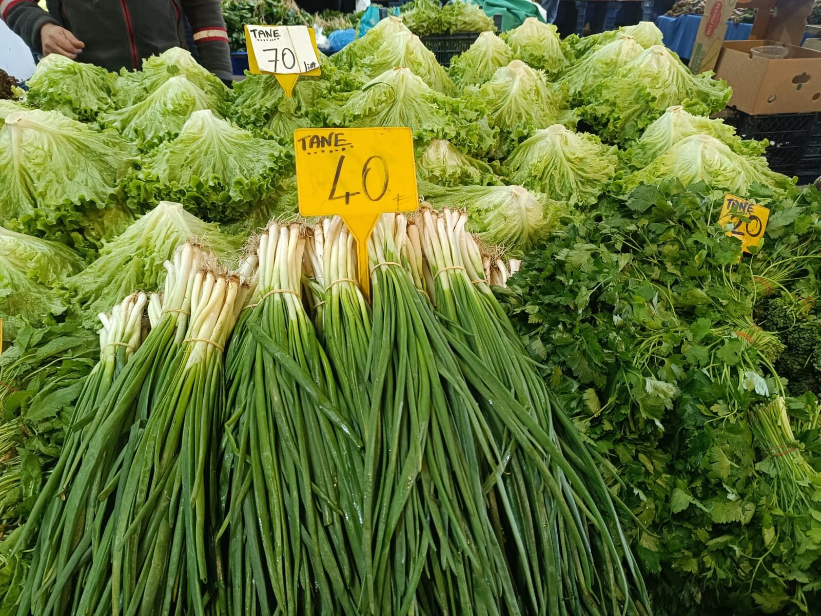 Whatsapp Image 2026 04 02 At 10.37.23