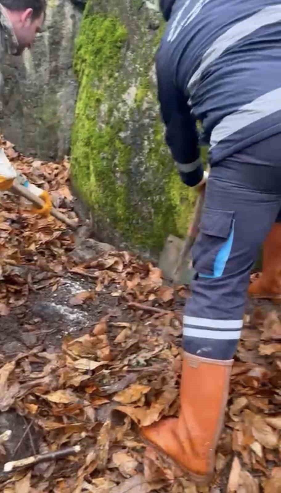 Whatsapp Image 2026 04 02 At 14.41.28