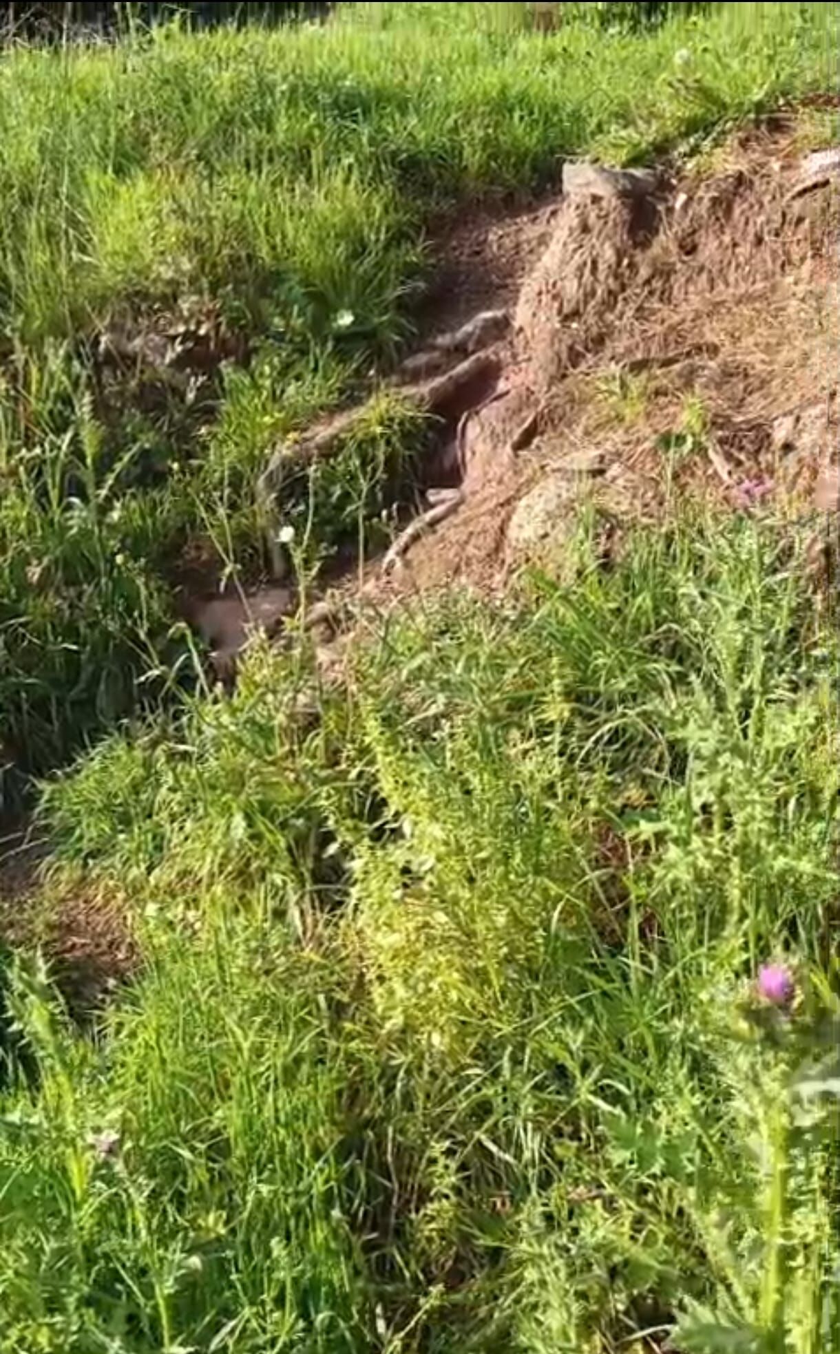 Whatsapp Image 2026 04 02 At 15.56.00 (1)