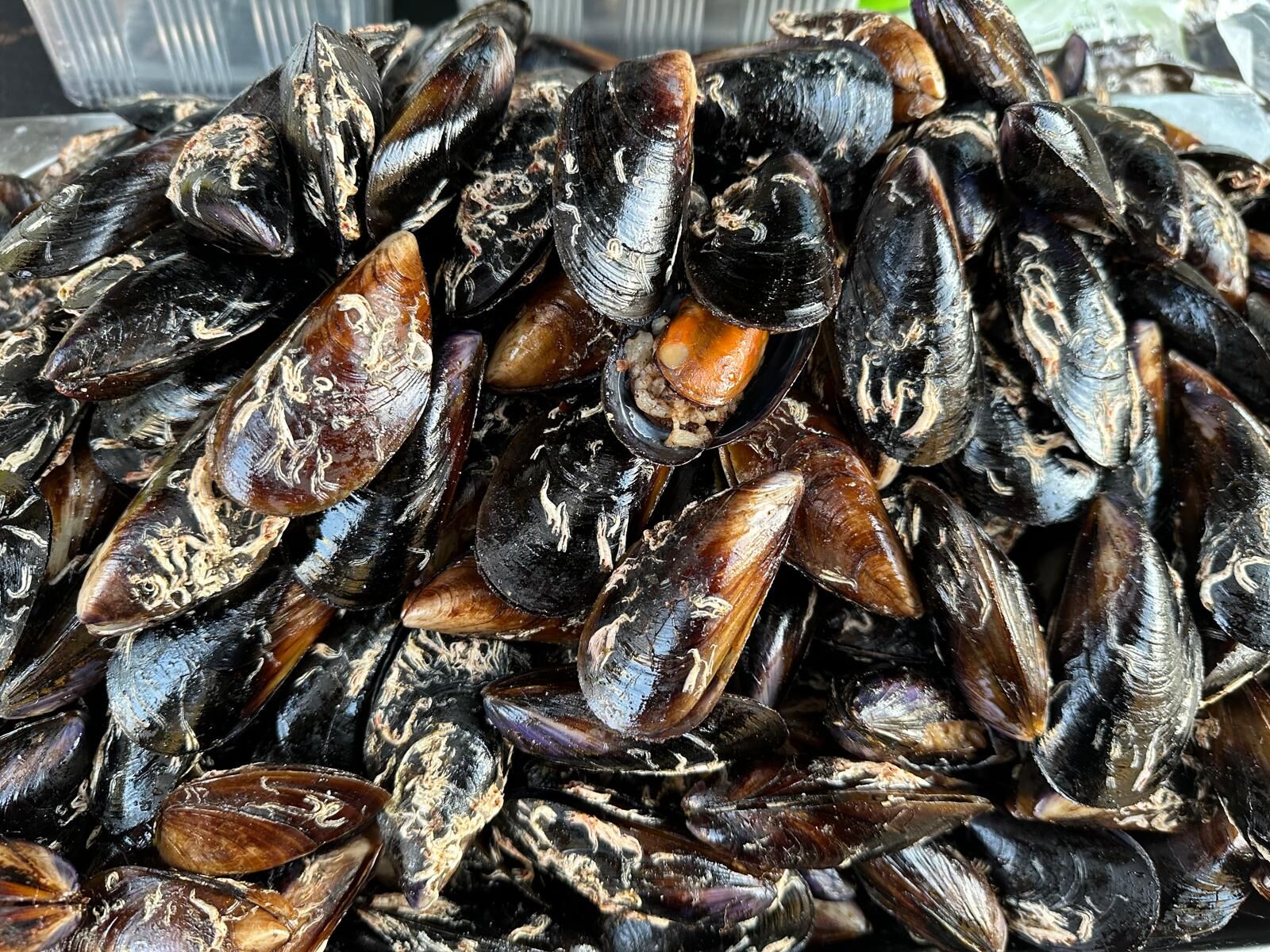 Whatsapp Image 2026 04 02 At 17.27.34 (1)