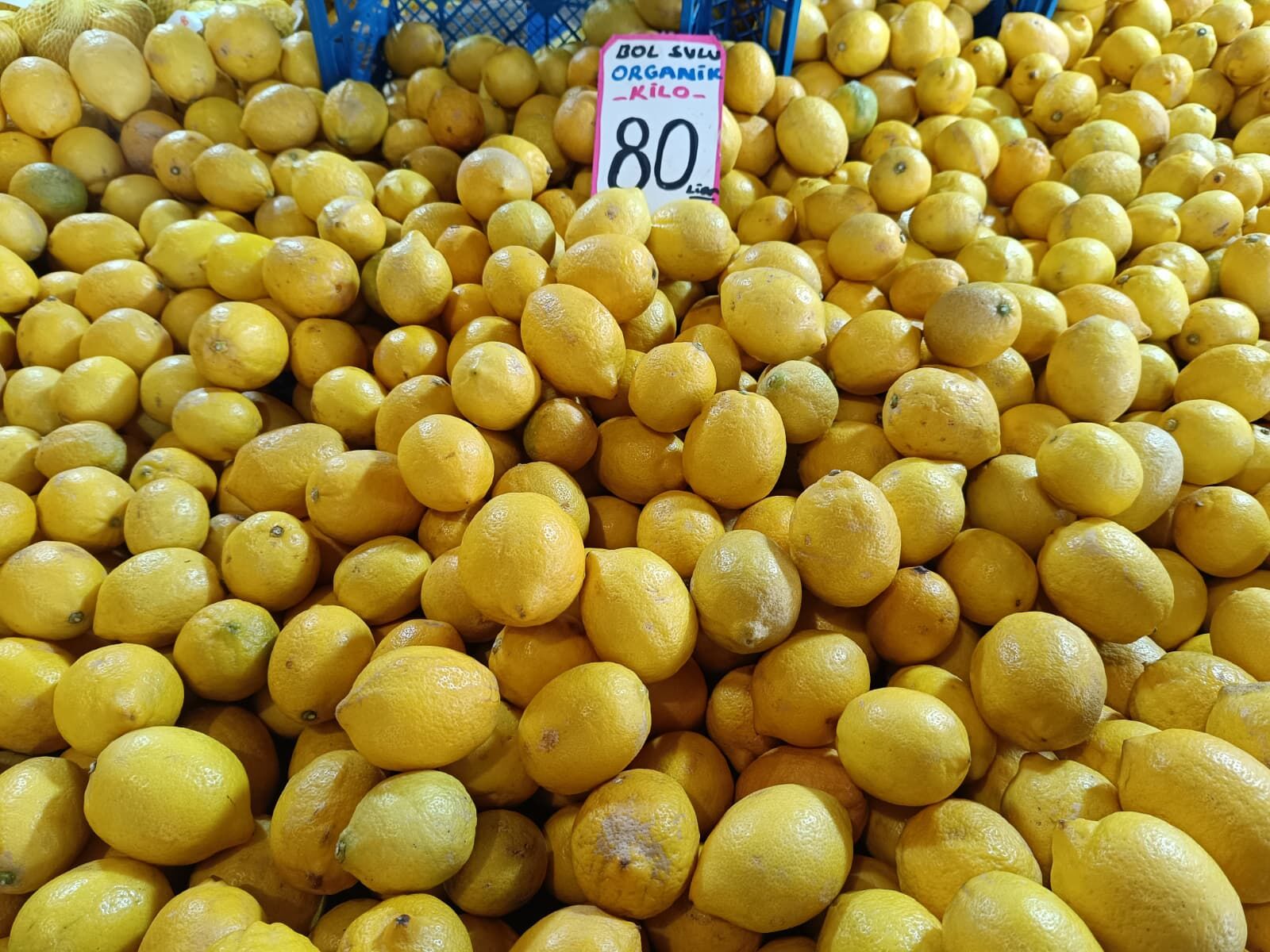 Whatsapp Image 2026 04 04 At 10.00.32