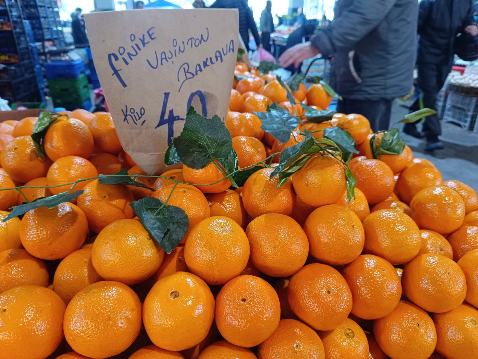 Whatsapp Image 2026 04 04 At 10.00.33 (1)