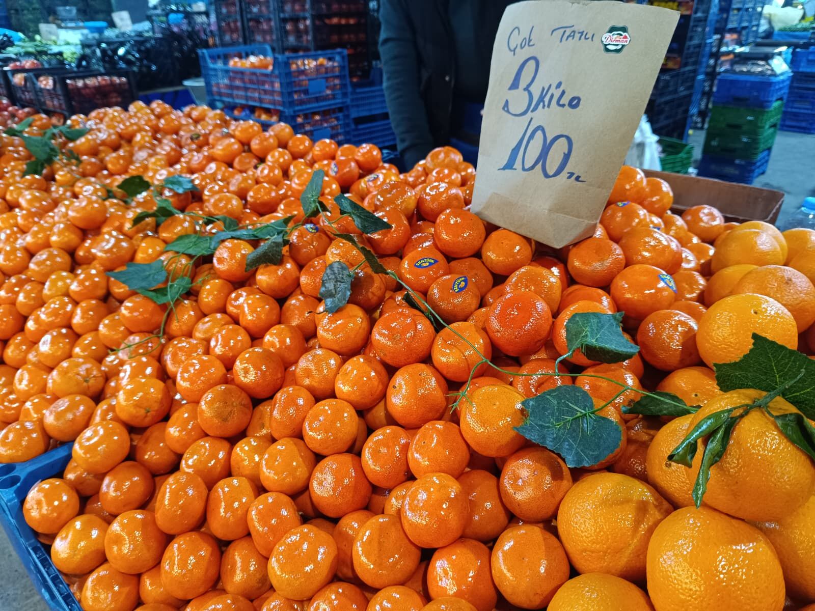 Whatsapp Image 2026 04 04 At 10.00.36