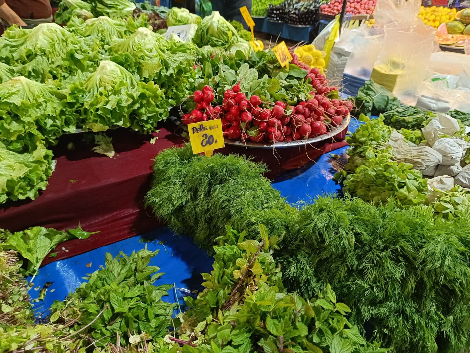 Whatsapp Image 2026 04 04 At 10.00.58