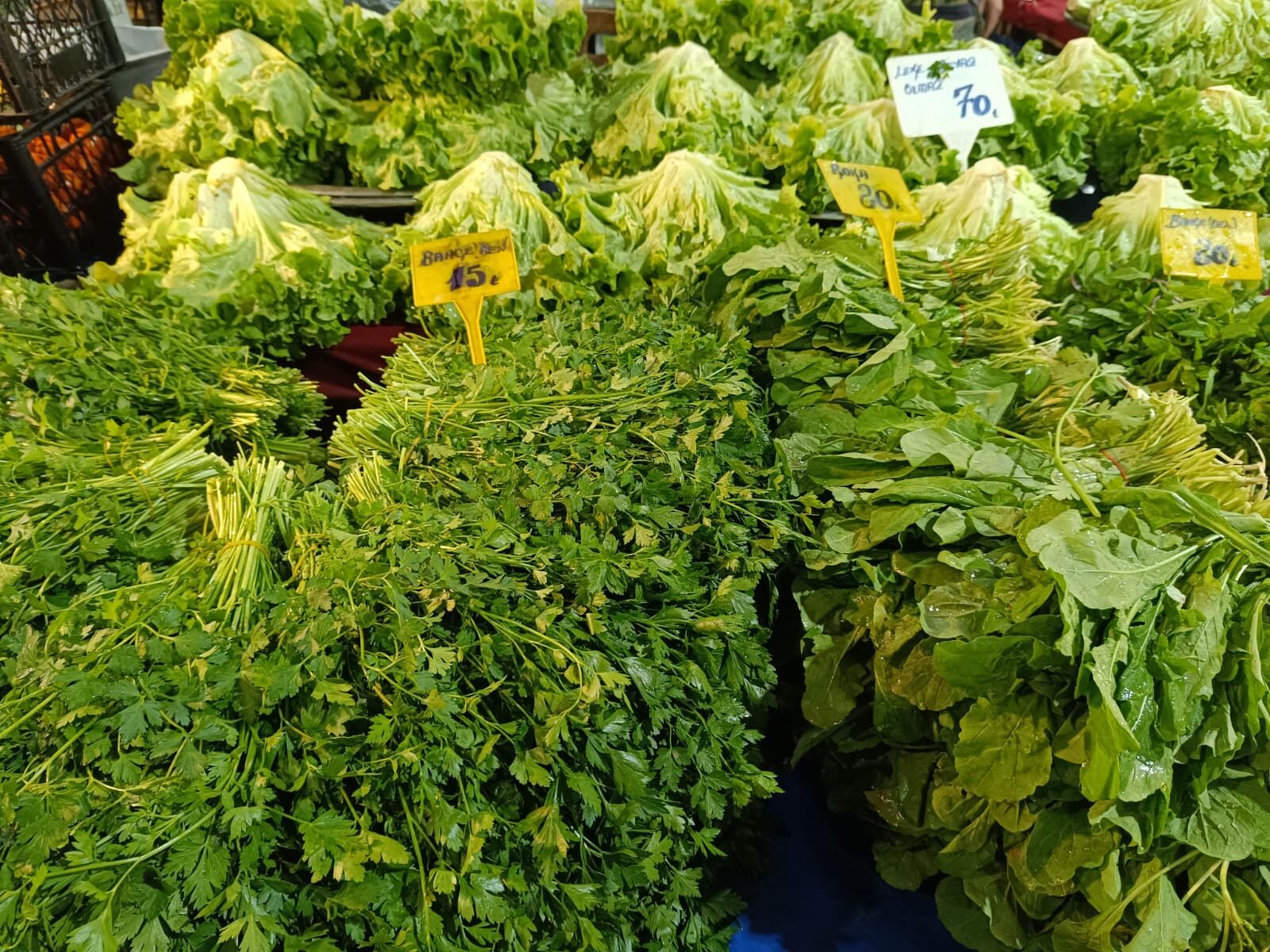 Whatsapp Image 2026 04 04 At 10.00.59