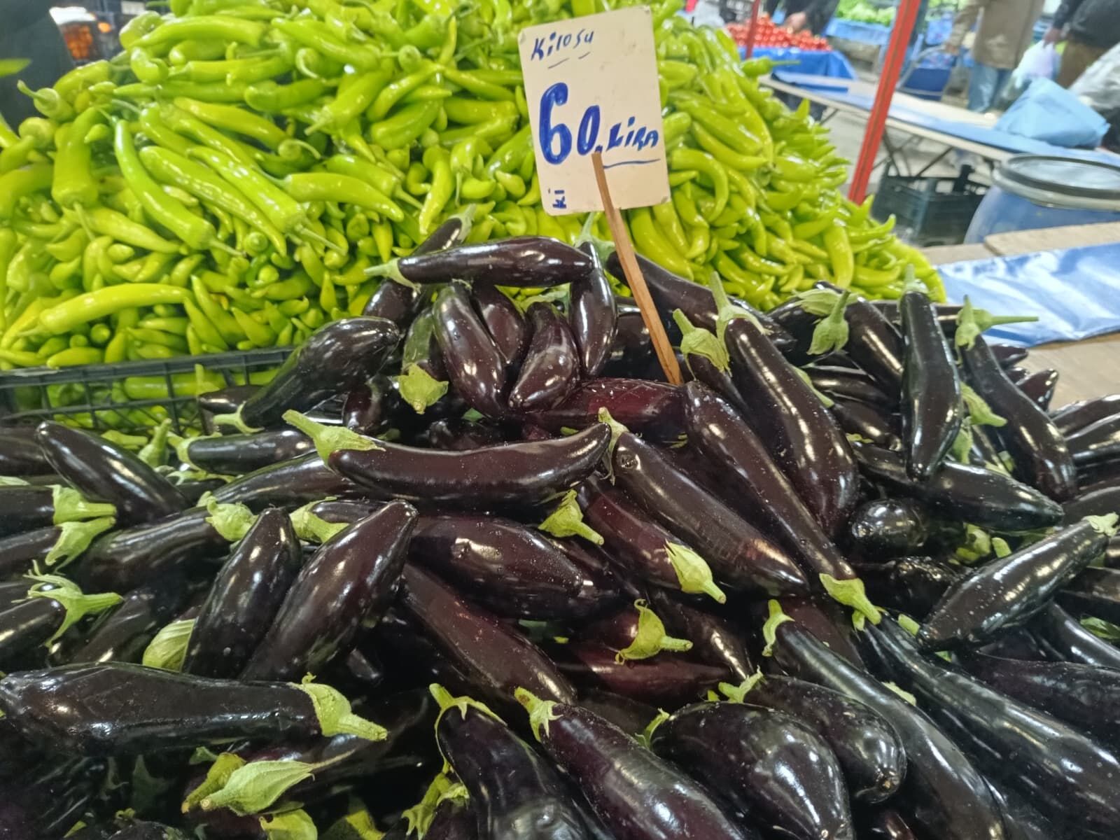 Whatsapp Image 2026 04 04 At 10.01.01 (1)