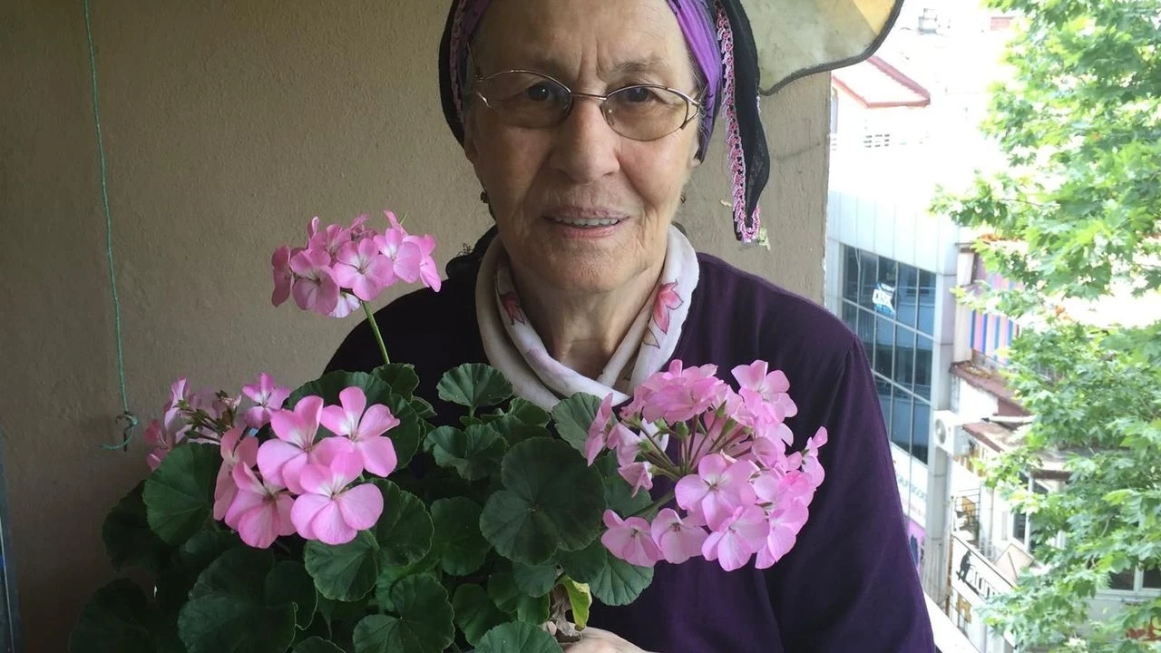 Whatsapp Image 2026 04 06 At 102001