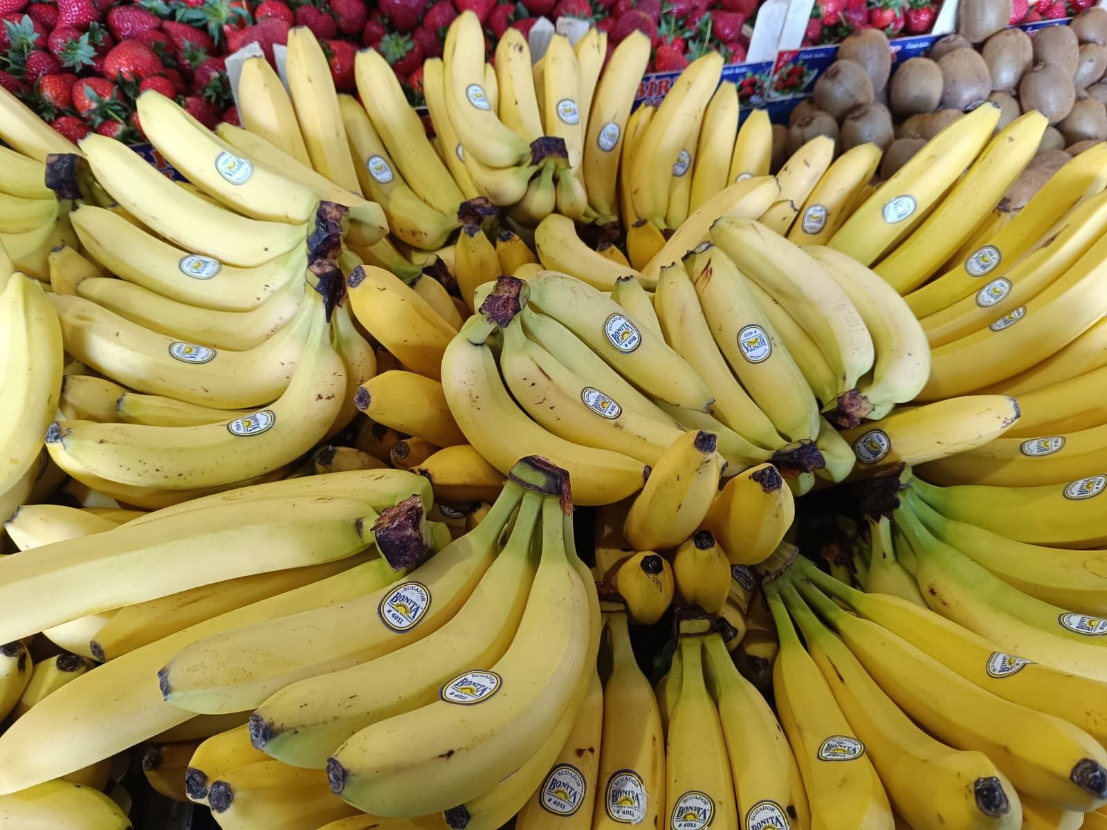 Whatsapp Image 2026 04 11 At 11.12.05 (1)