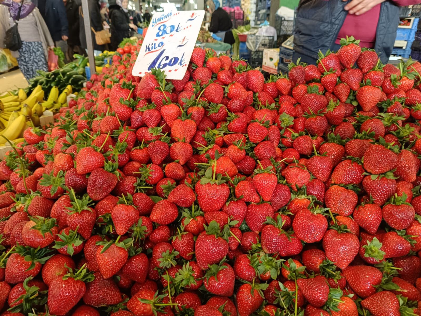 Whatsapp Image 2026 04 11 At 11.12.07