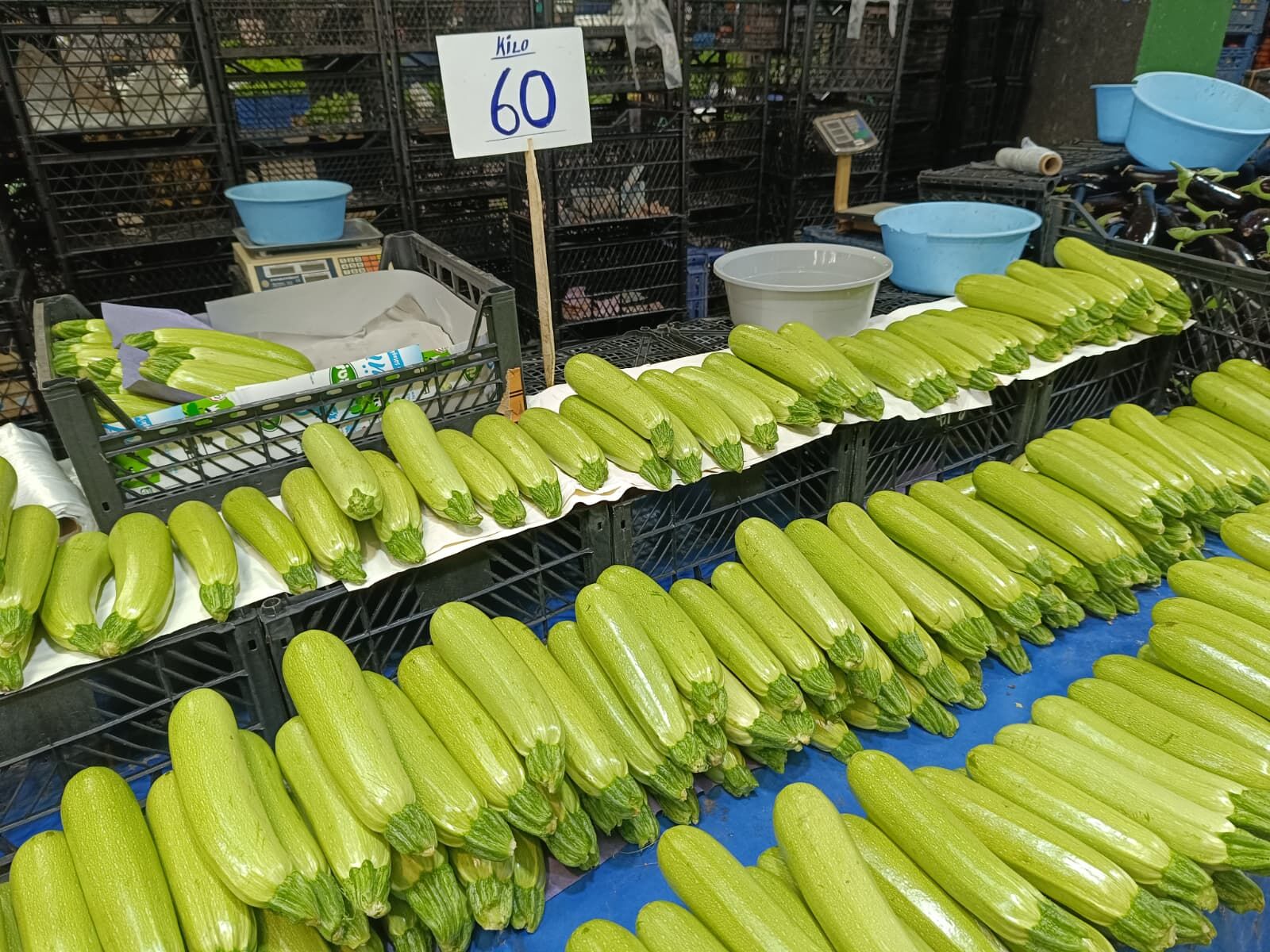 Whatsapp Image 2026 04 11 At 11.12.12